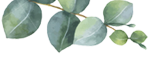 Eucalyptus