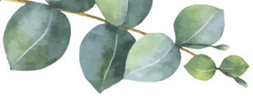 Eucalyptus