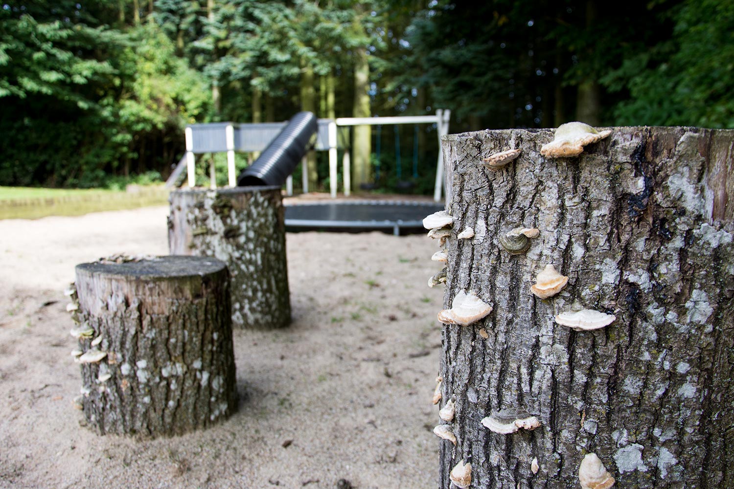 Legeplads ved Amstrupgård